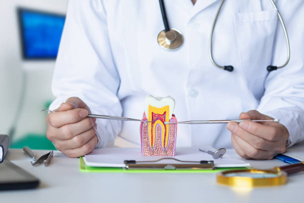 Best Emergency Treatment for Dental Infections or Abscesses in Wesley Hills, NY